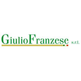 GIULIO FRANZESE SRL