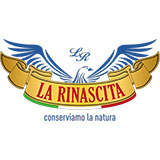 LA RINASCITA
